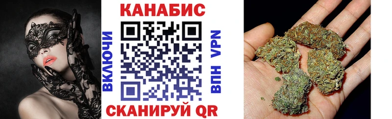 Марихуана план  Купить где  Олонец 